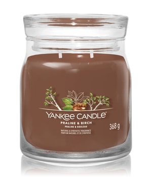 Yankee Candle Praline & Birch Duftkerze-368 g