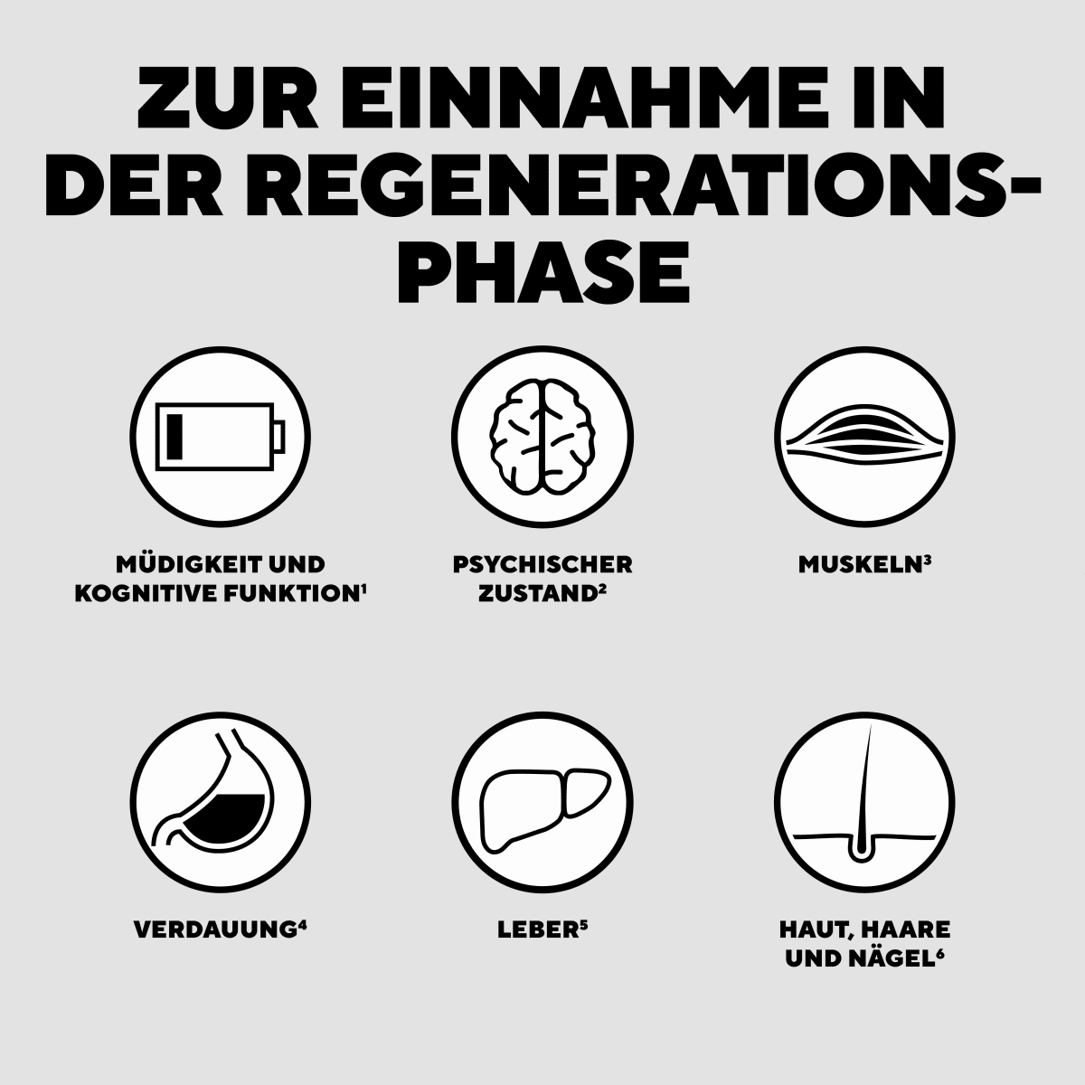 Wissenschaftliche Komplettmixtur Recovery After Sport | After Party (24 x 30g), 720 g