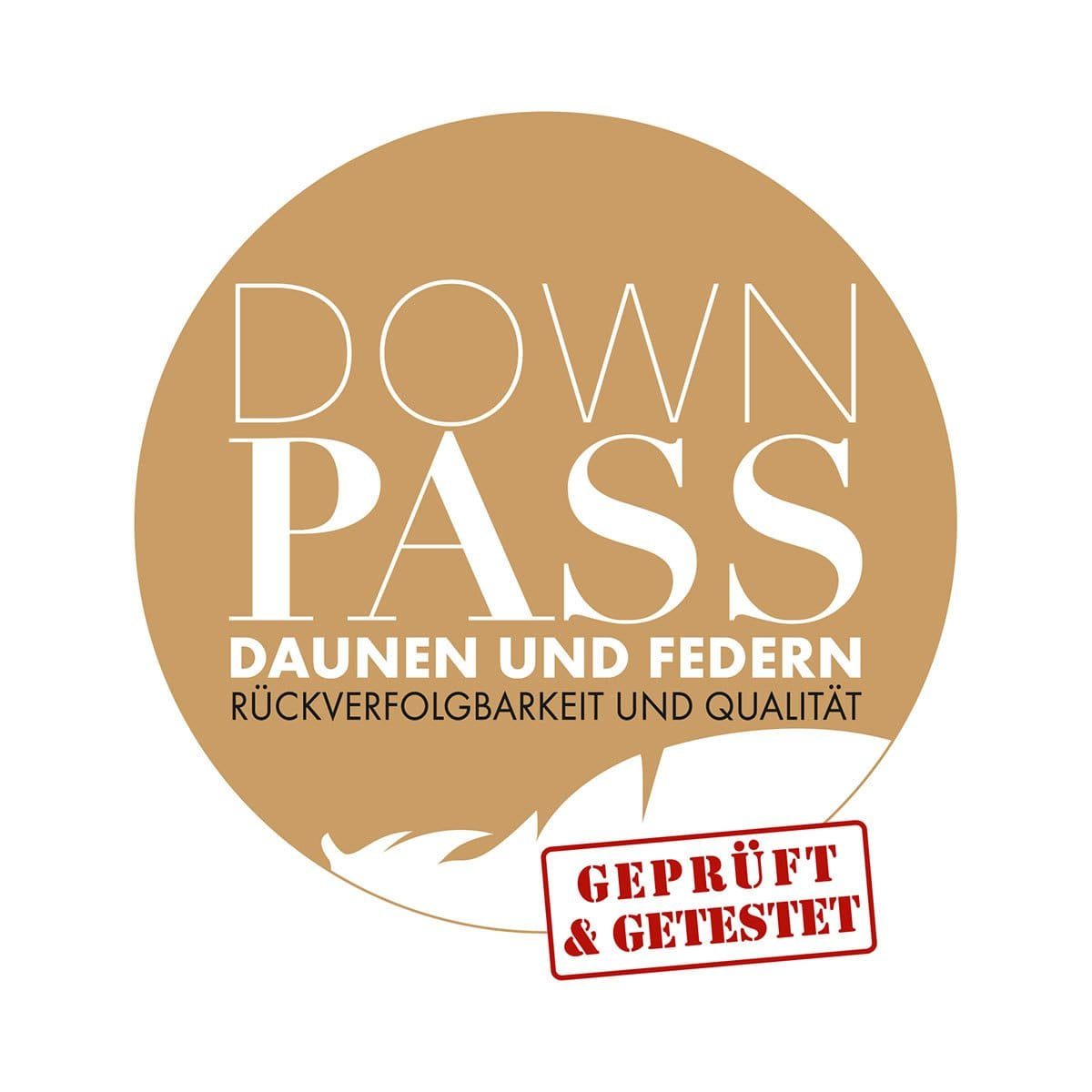 Daunenkissen Halbdaunen Kissen Brillant, TRAUMSCHLAF, Füllung: Füllung: 50% Daunen, 50% Federn