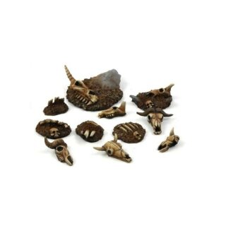 Animal Skulls & Bones (11)