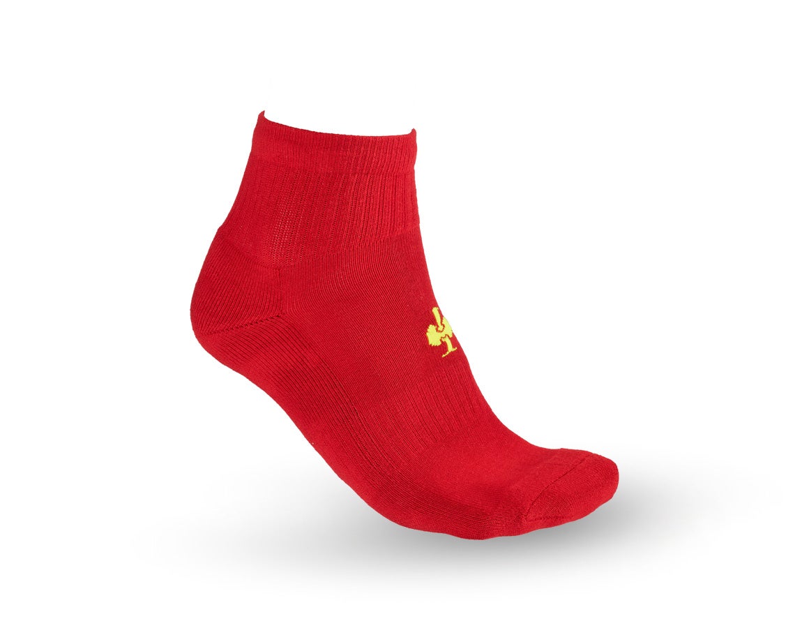 e.s. Allround Socken Classic light/mid