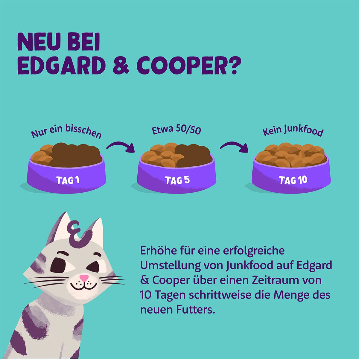 Edgard & Cooper Stückchen in Sauce Senior Truthahn und Huhn
