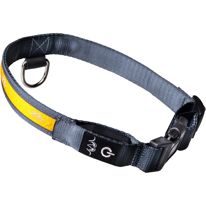 Blaser Halsband LED