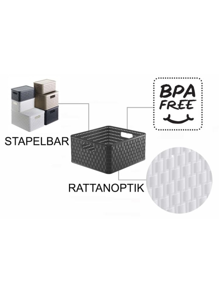 Rotho Country 3er-Set Aufbewahrungsbox 14l in Rattan-Optik in Anthrazit günstig kaufen onesize