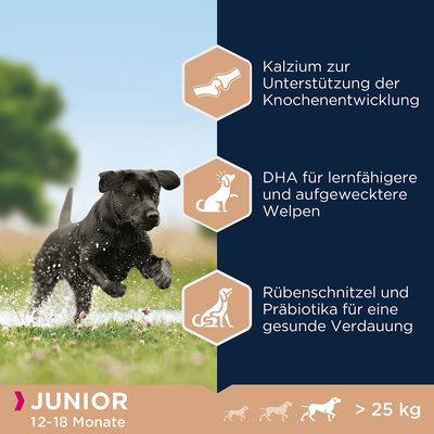 Eukanuba Junior Large Breed Huhn