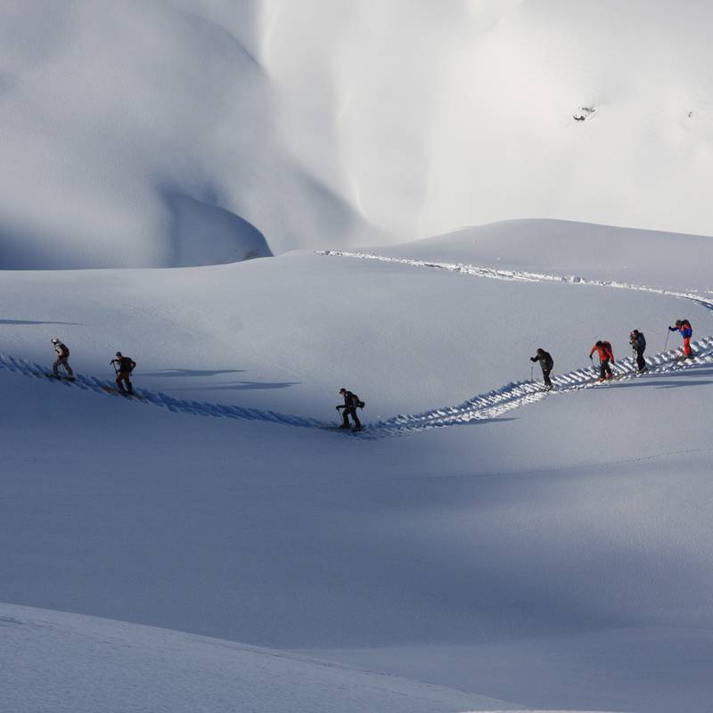 Erlebnis Freeride mit Guide Tour