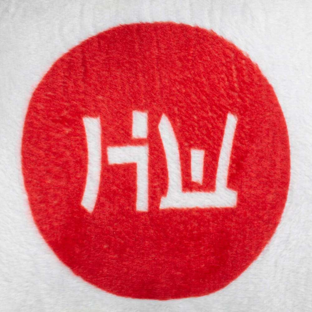 HIDETOSHI WAKASHIMA 