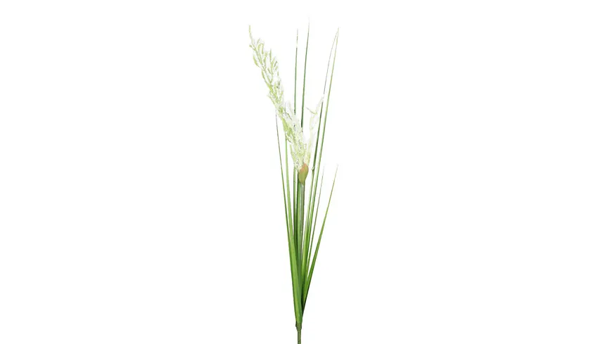 Gras mit Fruchtstand 90cm cream
