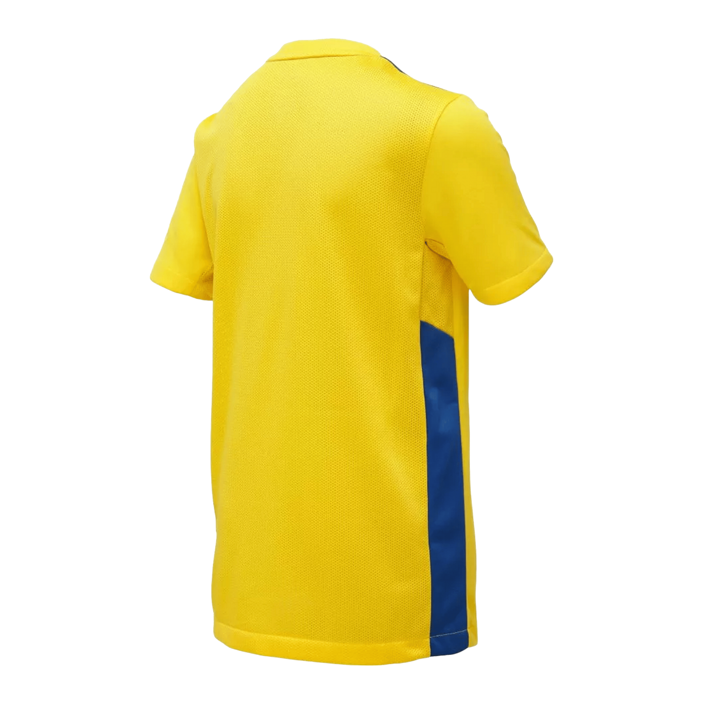 Nike Park Derby IV Trikot Kids Gelb Blau F720