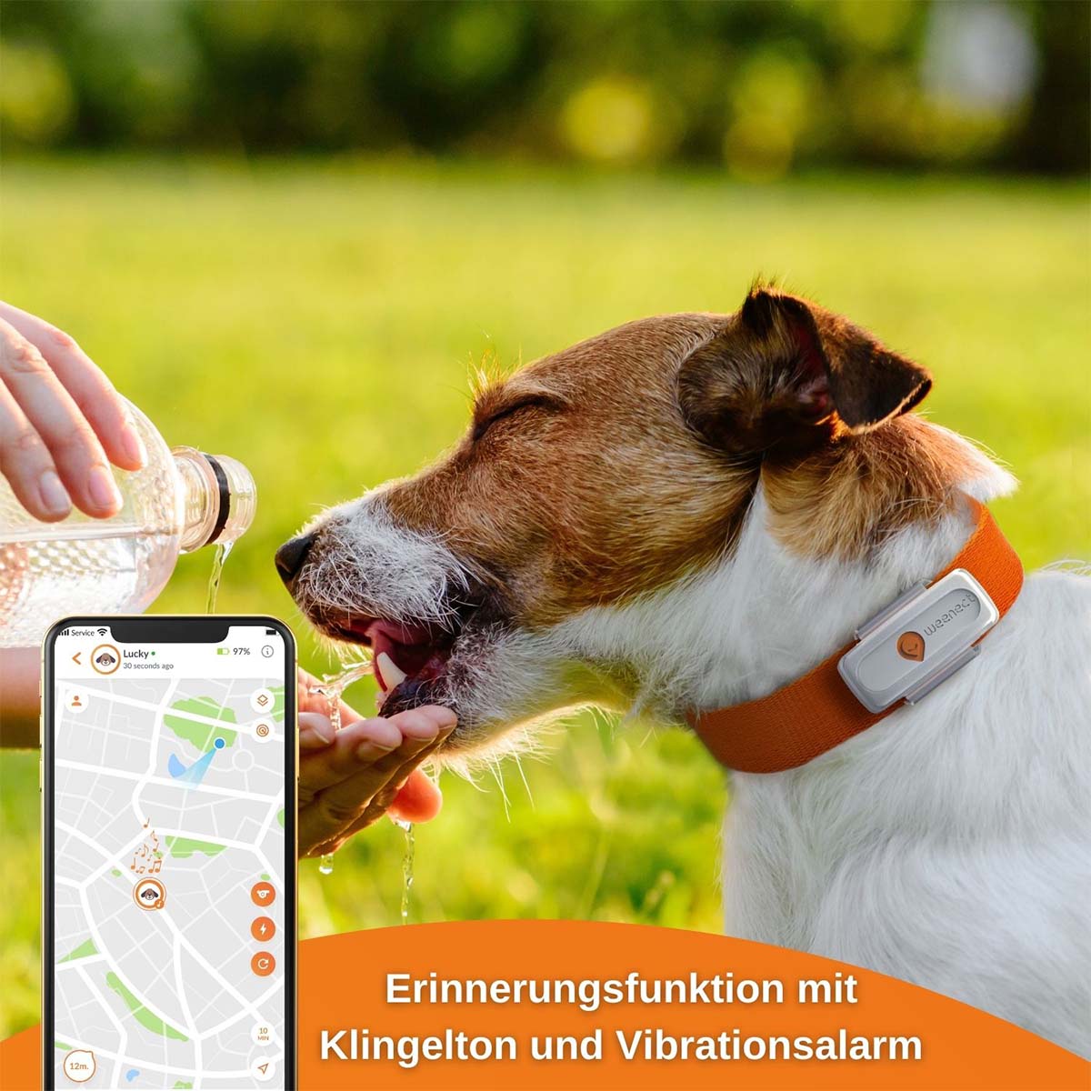 Weenect XS GPS Tracker für Hunde günstig kaufen bei ZooRoyal