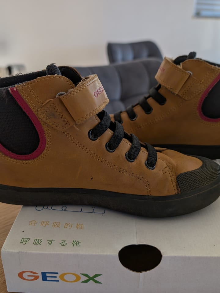 Geox Sneakers 