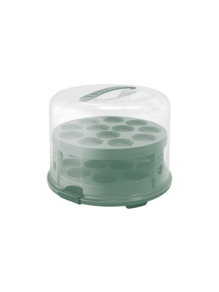 Rotho FRESH Tortenglocke hoch mit Trays in Transparent / Mistletoe grün günstig kaufen onesize