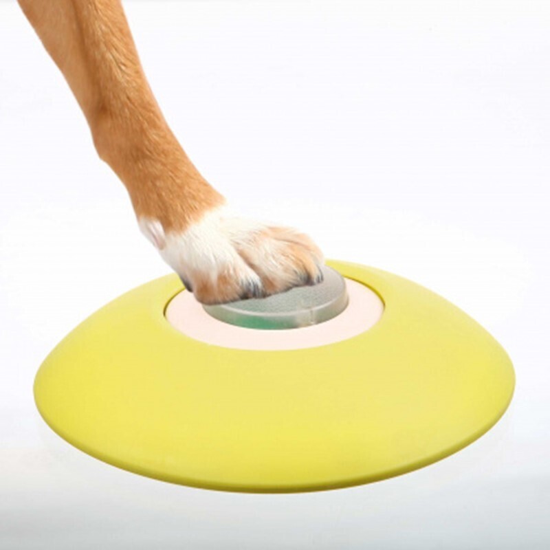 Trixie Intelligenzspielzeug Trixie Dog Activity Memory Trainer 3.0