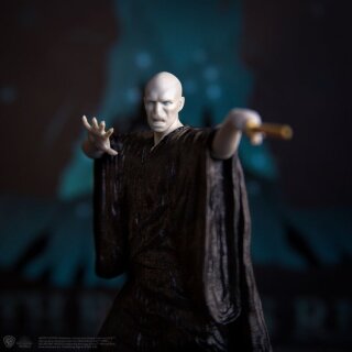 Harry Potter: Death Eaters Rising