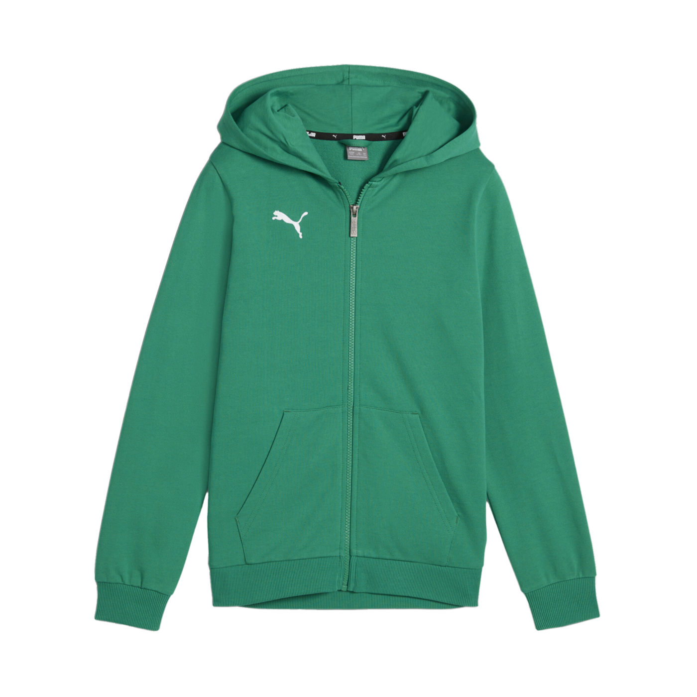 PUMA teamGOAL Casuals Kapuzenjacke Kids Grün F05