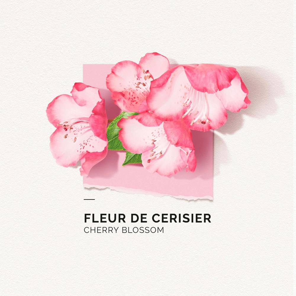 Solinotes Fleur de Cerisier Brume Parfumée