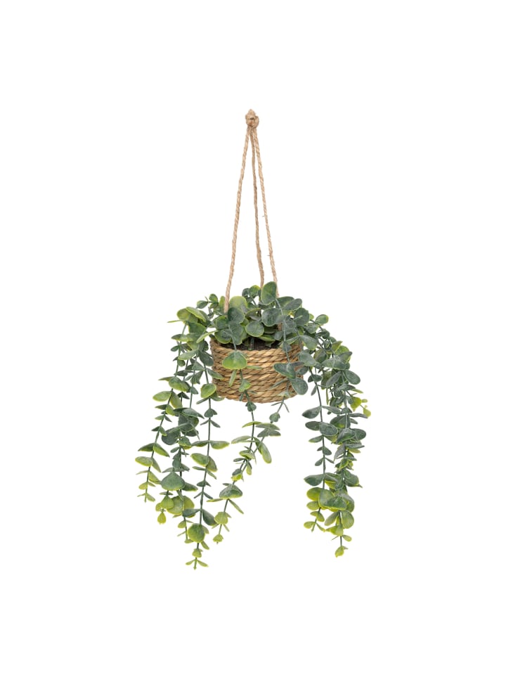 Atmosphera Créateur d'intérieur Hängepflanze in grün günstig kaufen