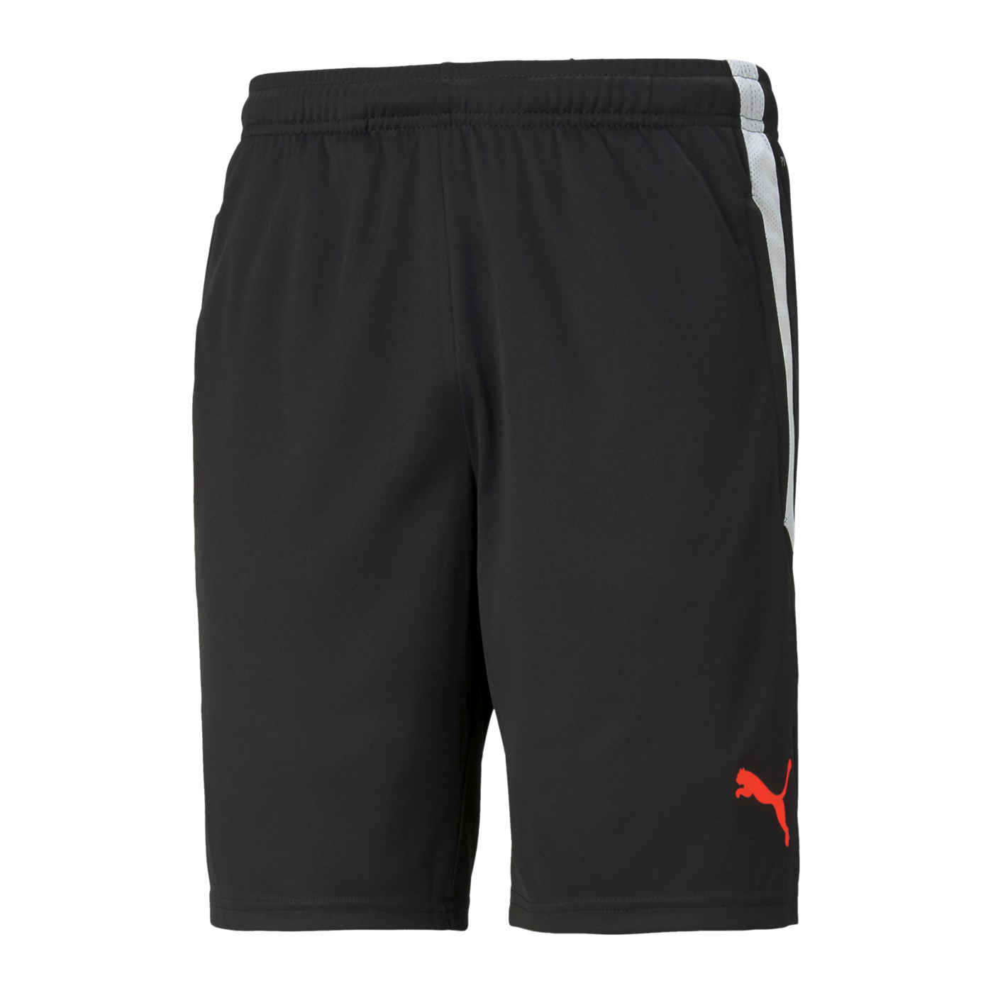 PUMA teamLIGA Short Schwarz Rot F41