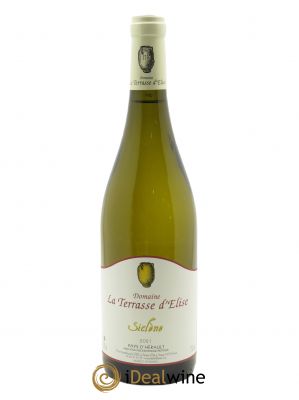 IGP Pays d'Hérault (Vin de Pays de l'Hérault) Siclène Terrasse d'Elise (Domaine de la)  2021 - Lot de 1 Bouteille