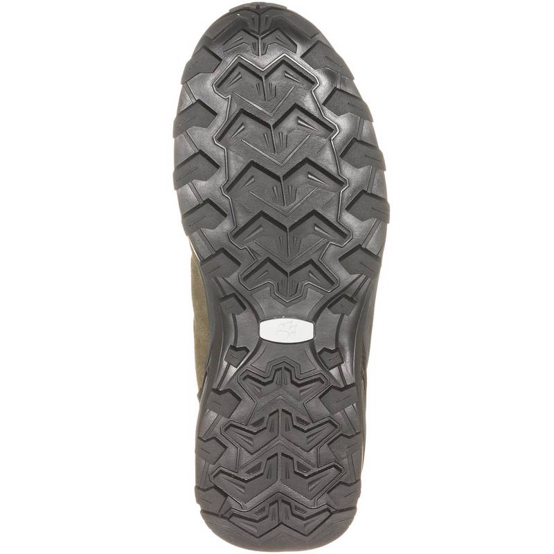Jack Wolfskin REFUGIO TEXAPORE MID Wanderschuhe Herren