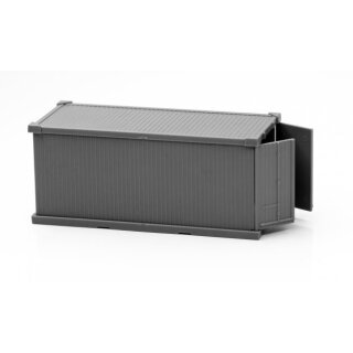 20' Shipping Container