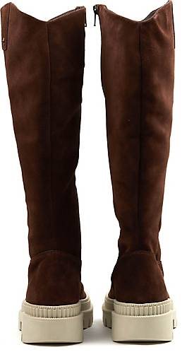 COX Plateau-Stiefel
