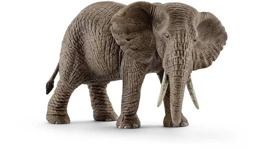 Schleich - Wild Life - Afrikanische Elefantenkuh