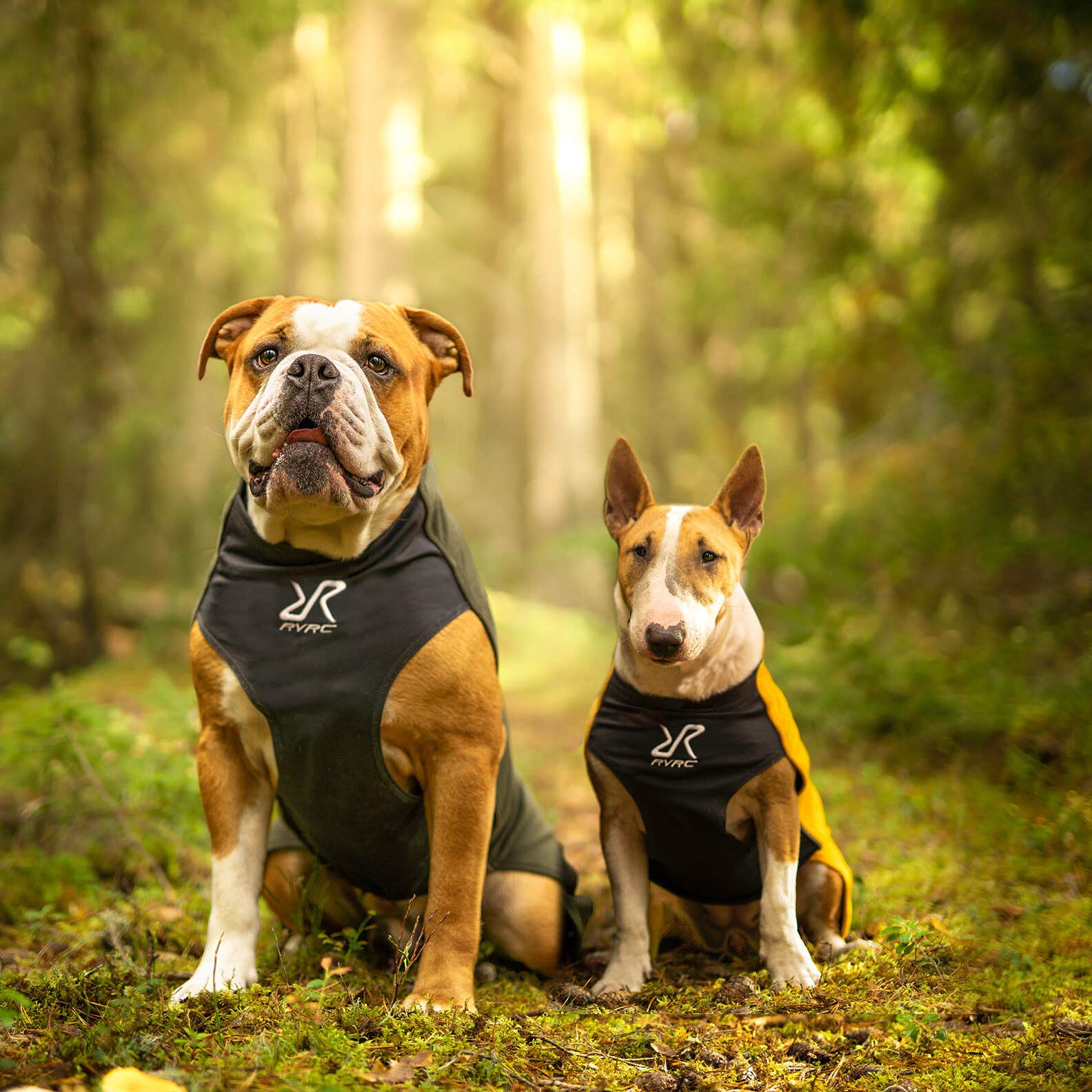 Trekker Fleece Chien Caviar