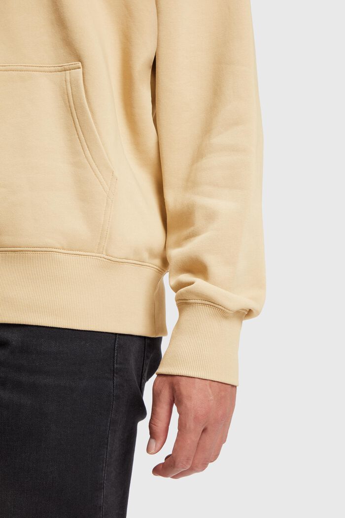 Color Dolphin Hoodie