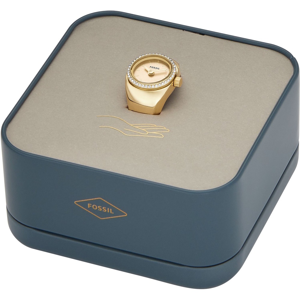 Fossil Montre pour femme Acier inoxydable Montre
