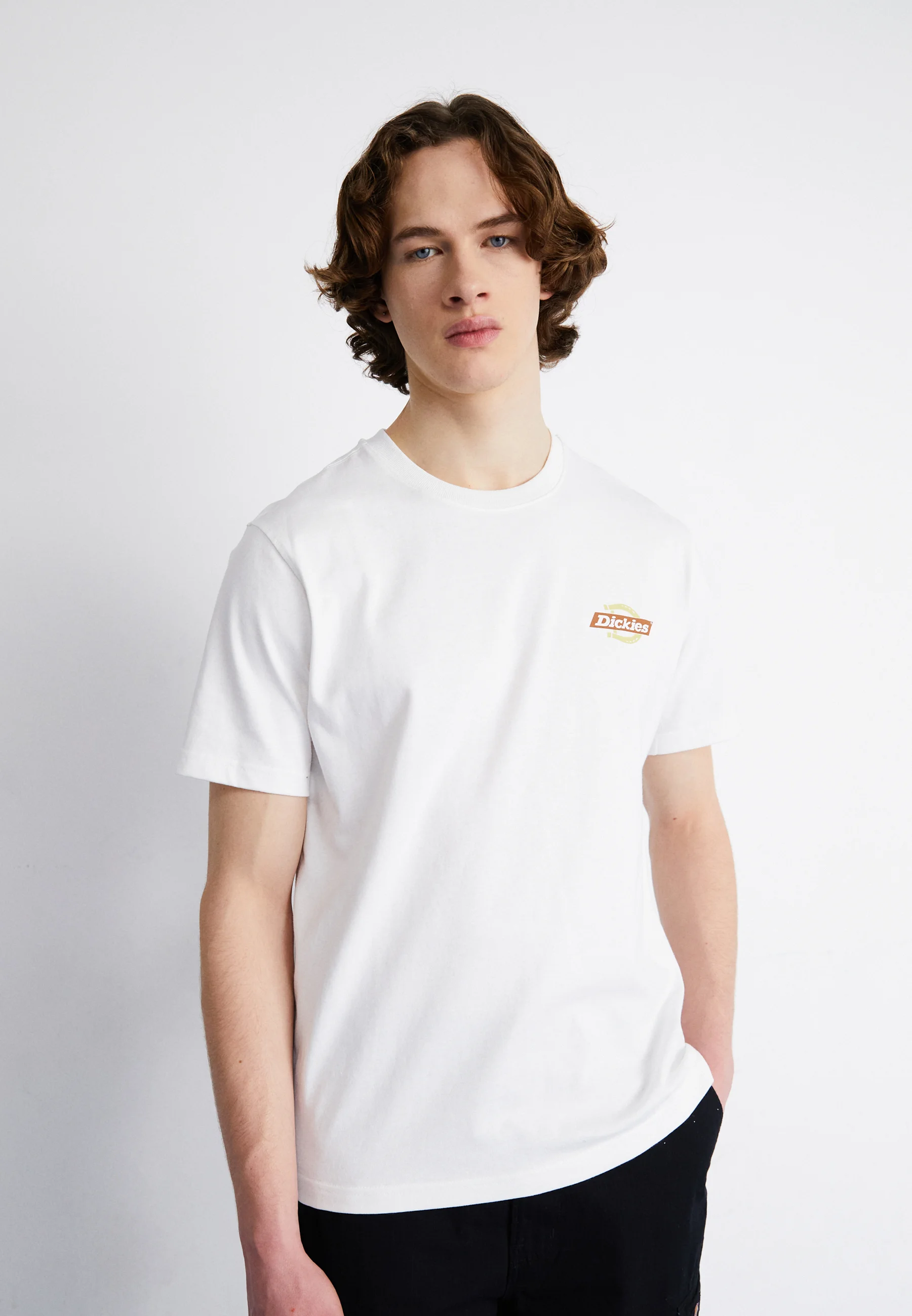 Dickies RUSTON TEE - Camiseta con estampado