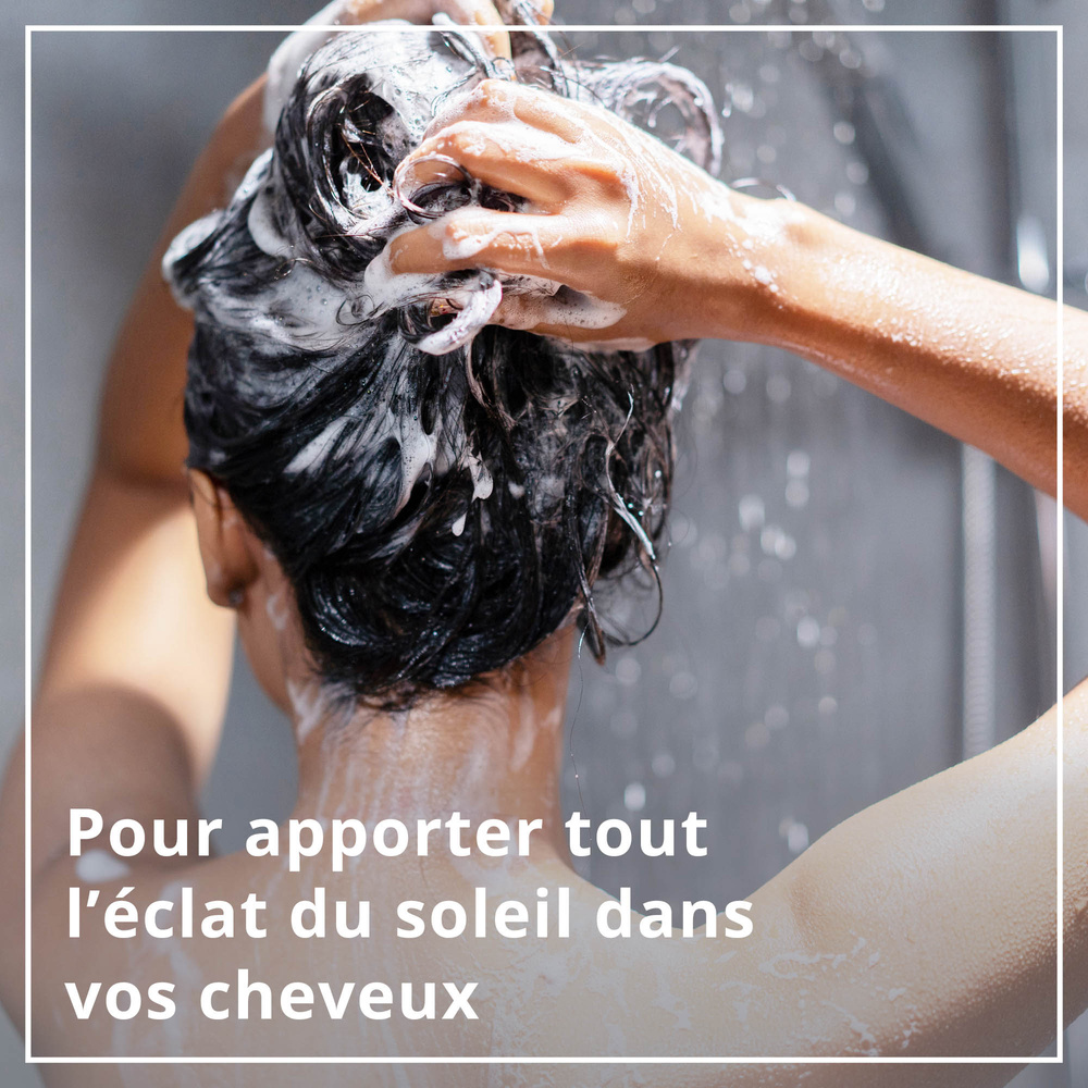 le petit marseillais Shampooing Nutrition, Cheveux Secs, Miel de Provence BIO & Karité BIO Shampoing