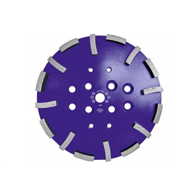 Mola diamantata Gölz 04975200250 CG250-M da 250 mm per levigatrice per pavimenti