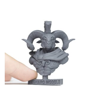 Aries Bust
