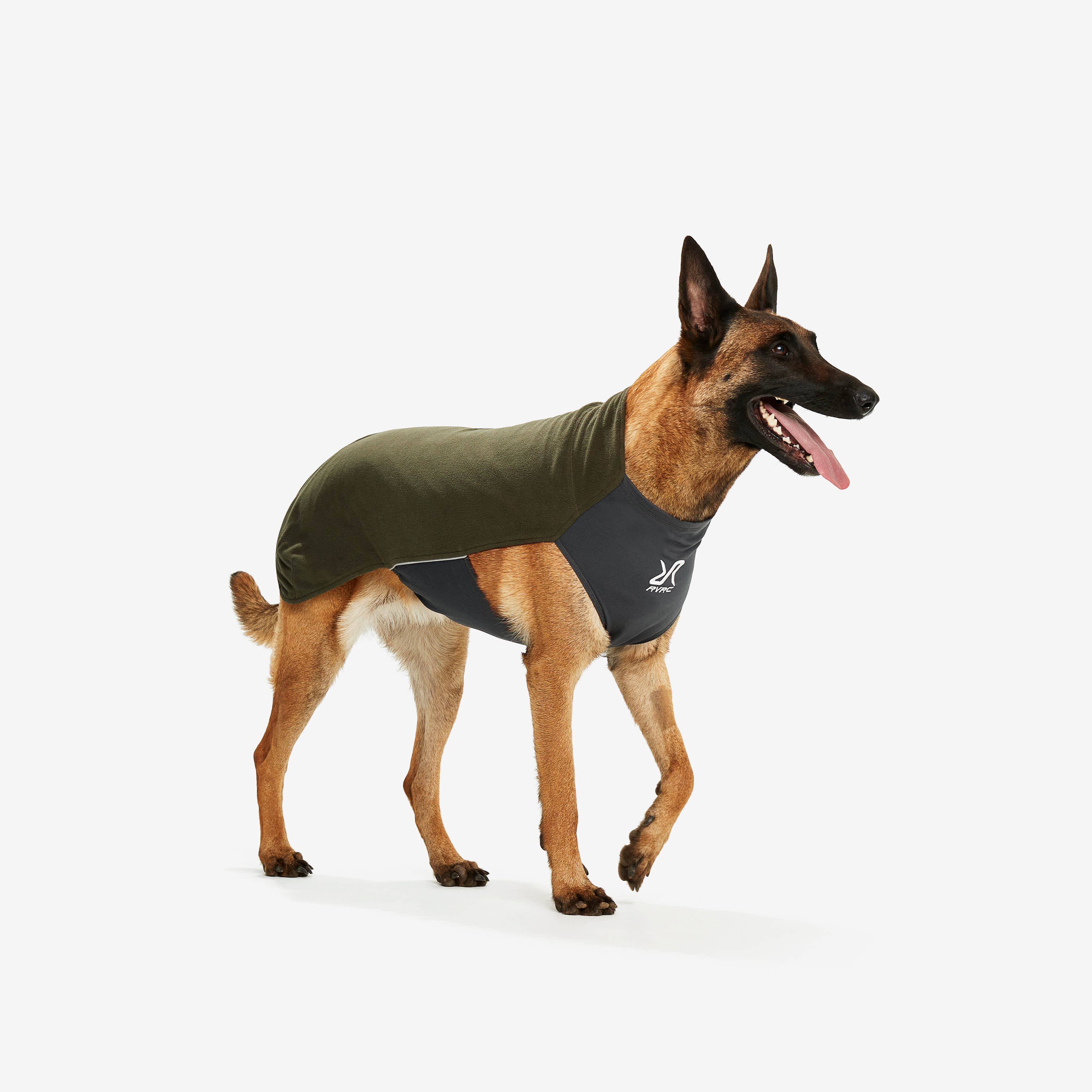 Trekker Fleece Chien Forest Night