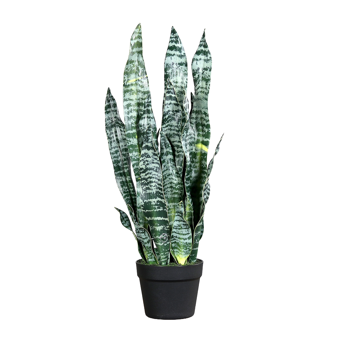 Kunstpflanze Sanseveria Grün H67cm