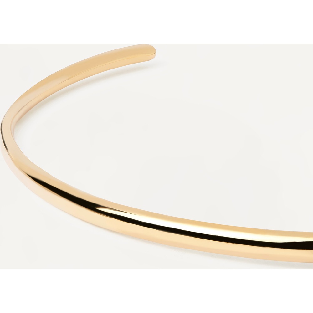 P D Paola Collier Laiton collier