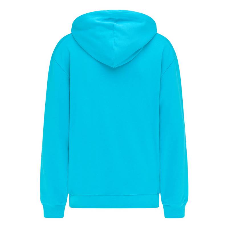 SOMWR SUSTAIN THE PLANET HOODIE Hoodie Herren