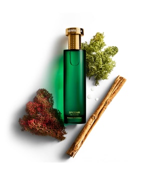 HERMETICA Emerald Stairways Collection Spiceair Eau de Parfum 100 ml