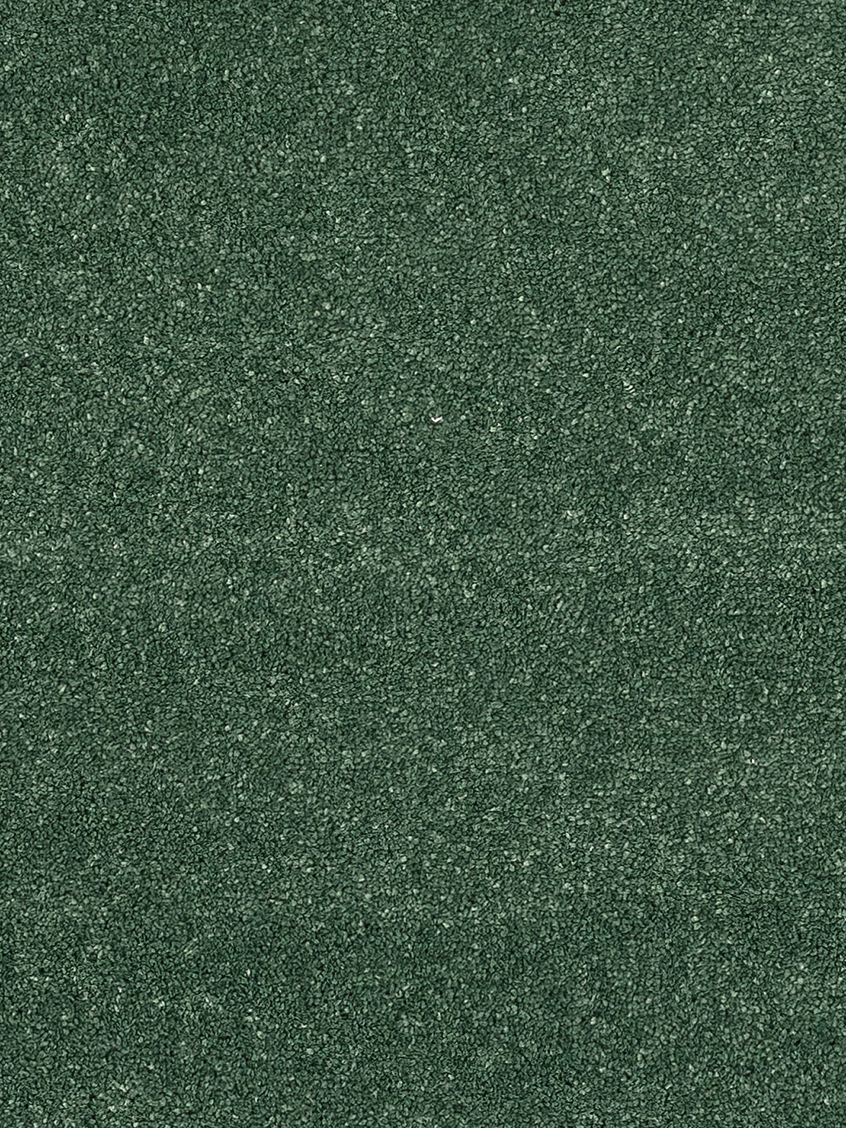 Wylie Hochflor-Teppich, Moosgrün