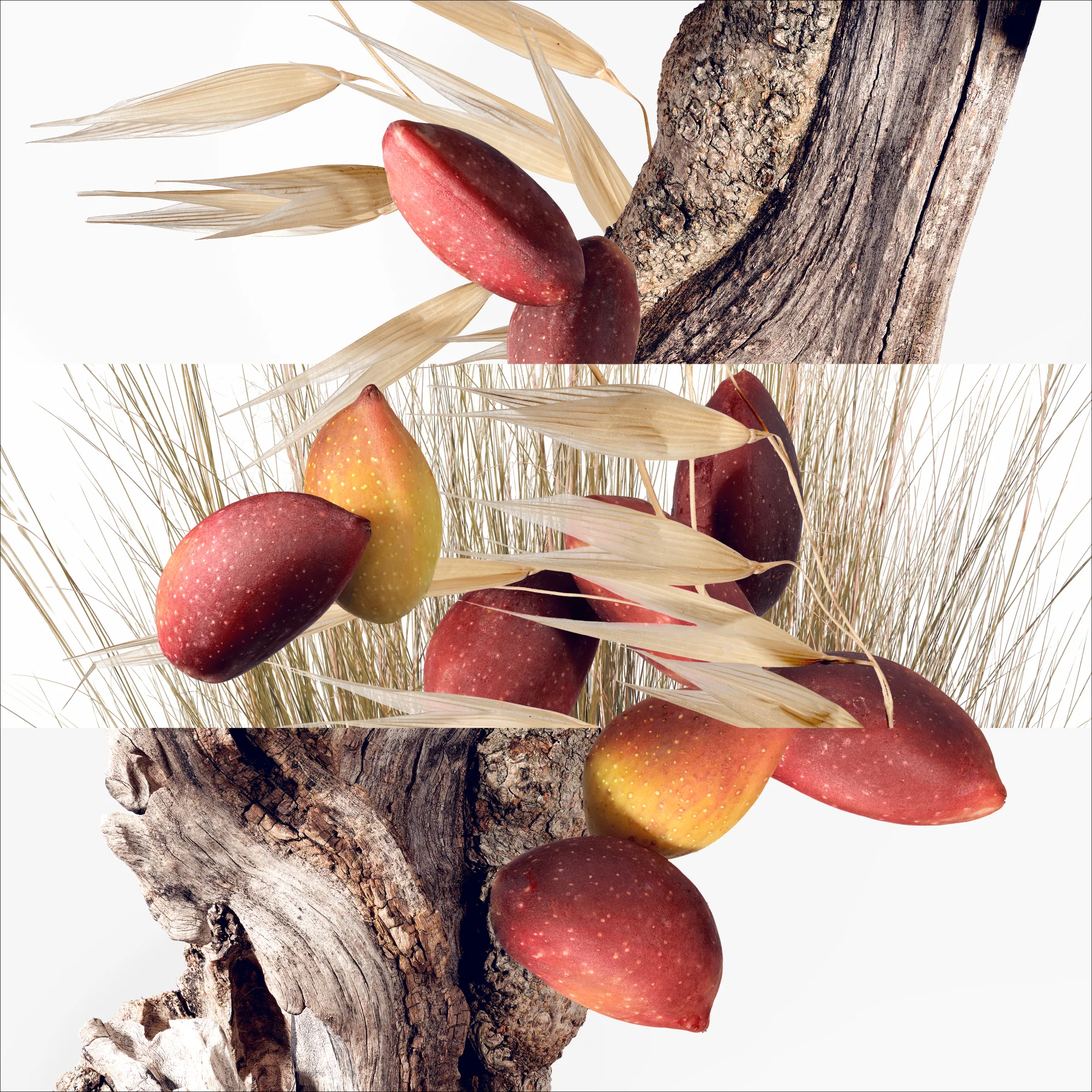Parfums-Jardins Un Jardin à Cythère - toaletná voda Unisex, toaletná voda