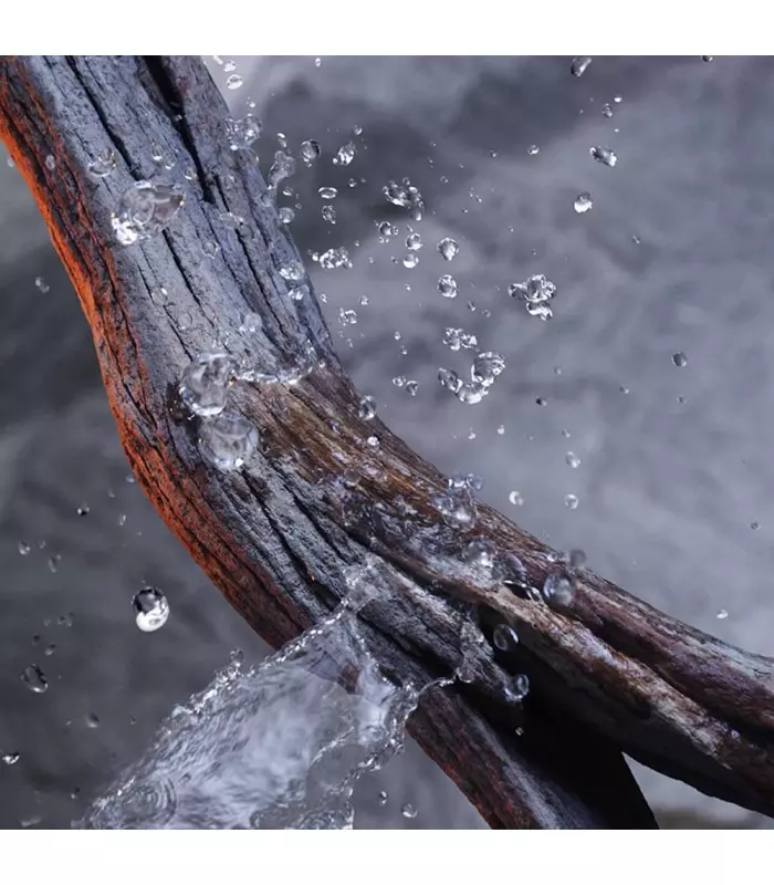 INVICTUS Déodorant Stick