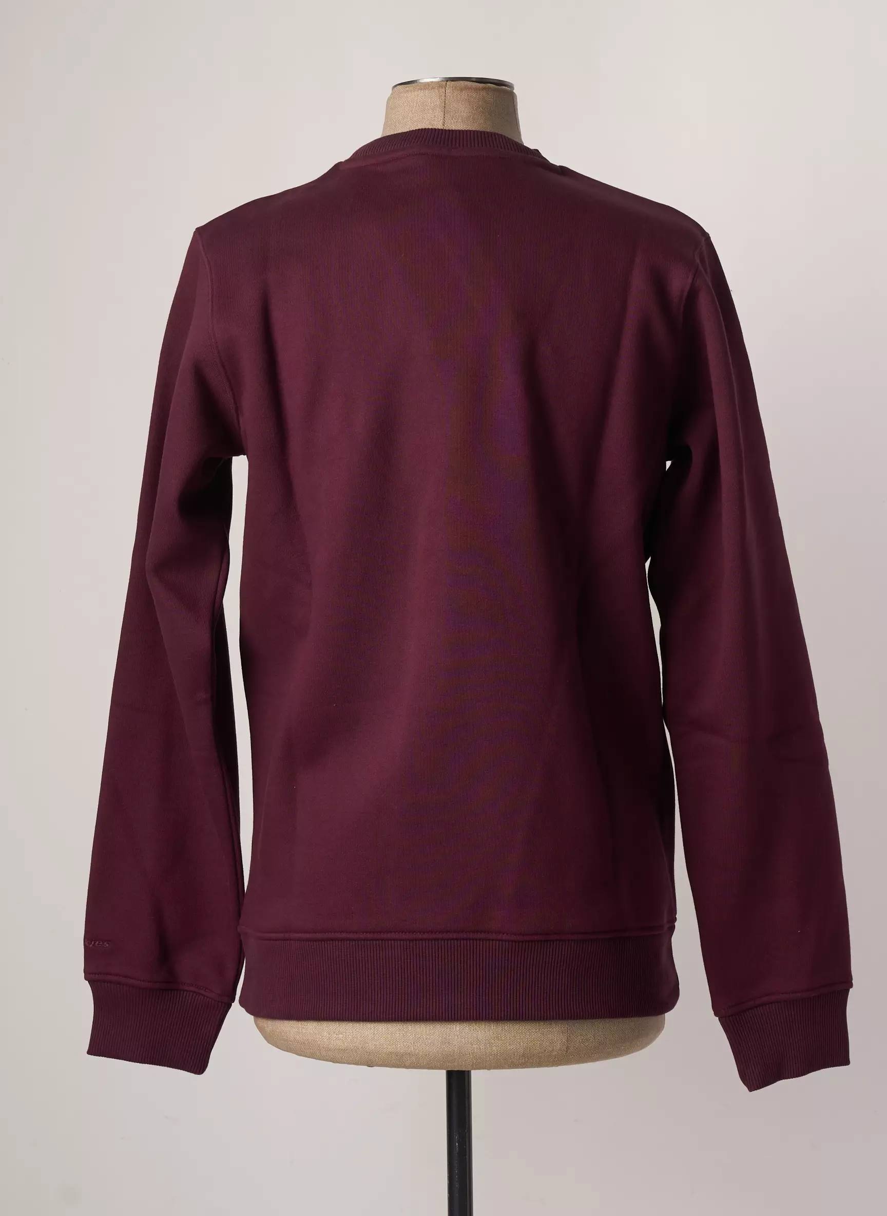 Dickies Sweats Homme couleur marron