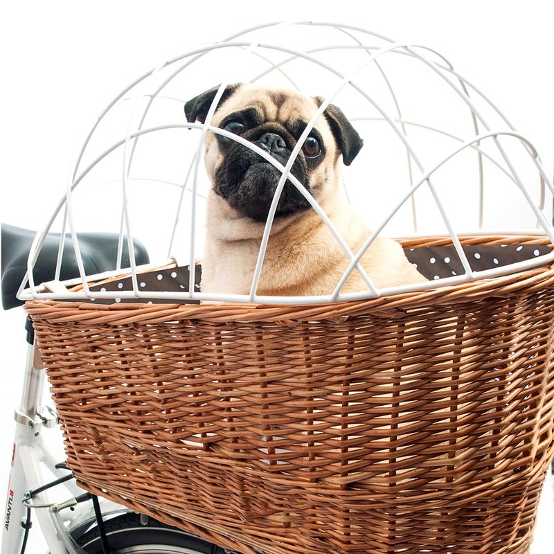 Aumüller Hunde-Fahrradkorb für Gepäckträger mit Schutzgitter zu TOP-Preisen