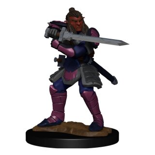 D&D Nolzur's Marvelous Miniatures: Hobgoblin Fighter Male & Hobgoblin Wizard Female (2)