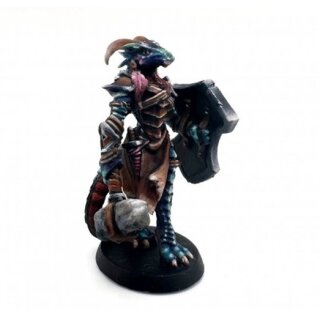 Tarmiczi, Female Dragonblood Paladin