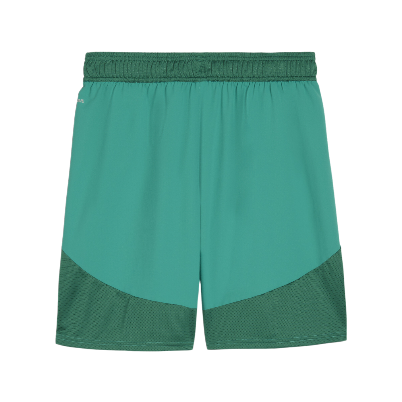 PUMA teamFINAL Short Grün Weiss Grün F05