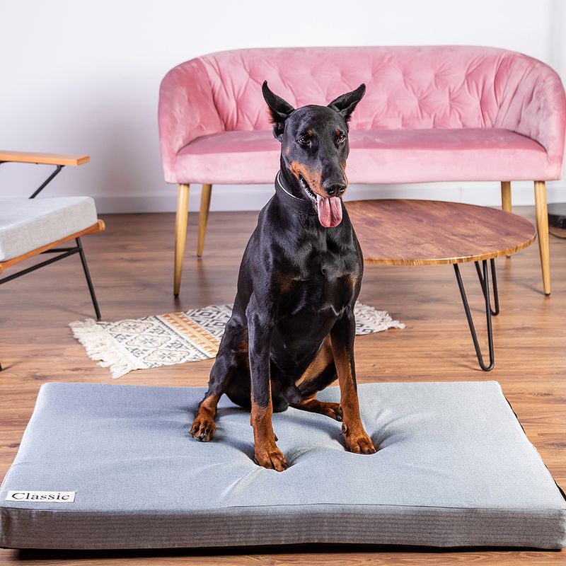 Hundematratze Classic zu TOP-Preisen