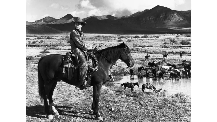 Red River - Panik am roten Fluss - 3-Disc Limited Collector's Edition im Mediabook  (Blu-ray + Bonus-Blu-ray + DVD)