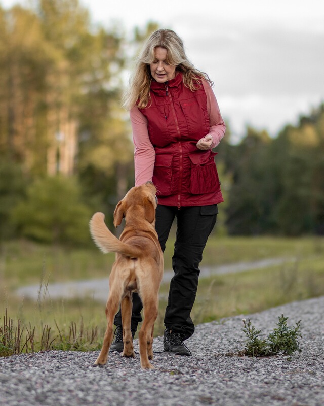 Pinewood Damen Weste Dog Sports Expert